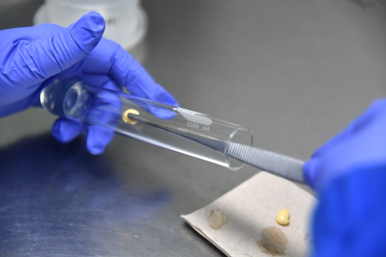 Minciencias abre convocatoria para dar reconocimientos económicos a investigadoras