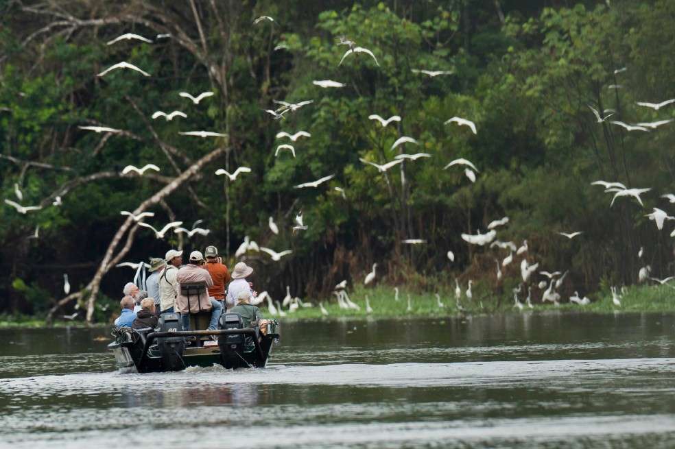 Acuerdos para la sostenibilidad globalEn 2020 se debe firmar un acuerdo por la naturaleza y personas. / J.J. Huckin WWF-US