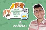 (VIDEO) ¿Por qué algunos animales matan y se comen a sus crías?