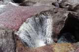 Crónica de un viaje a Caño Cristales en tiempos de paz