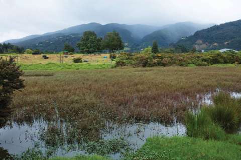 CAR destinará $80.000 millones para comprar predios en la reserva Van der Hammen
