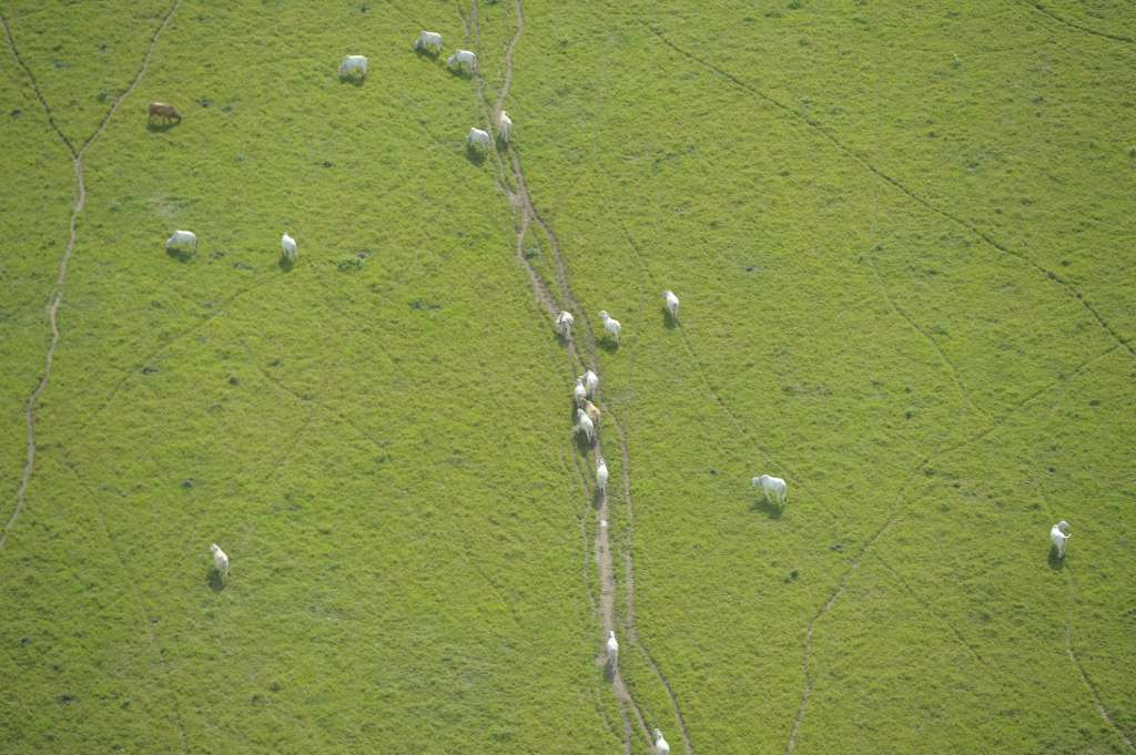 La comunidad, madres víctimas y la fuerza pública de la Sierra La Macarena (Meta), zona golpeada por la guerrilla de las Farc, tuvieron una semana de pedagogía por la paz.