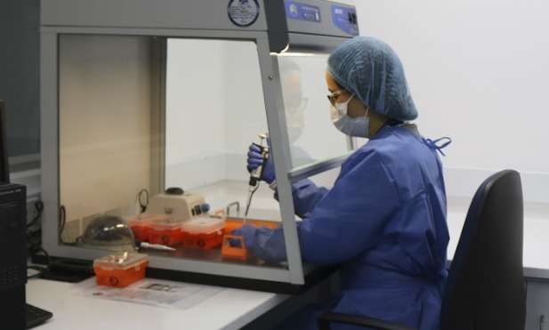 En el mundo se han tratado 30.000 pacientes con las células mesenquimales.