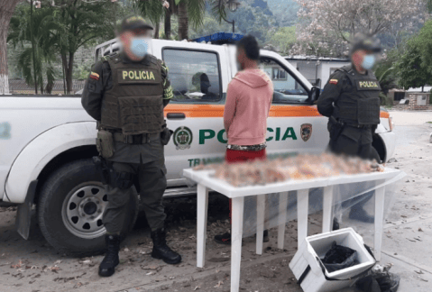 Más de 30 tortugas desmembradas fueron decomisadas en Santander