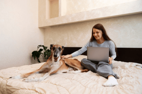 ¿Trabajar y viajar con su perro? Así es esta nueva vacante de empleo en EE. UU.