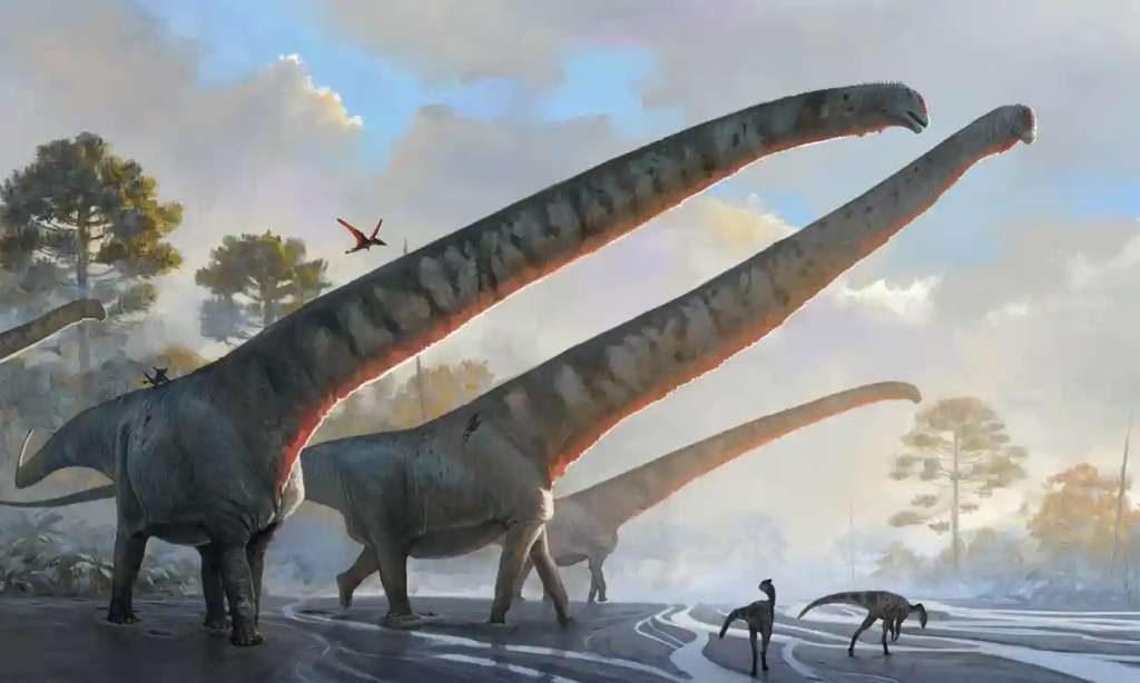 Este sería Mamenchisaurus sinocanadorum, un herbívoro con el cuello más largo de la historia y que vagaba por lo que ahora es el este de Asia.
