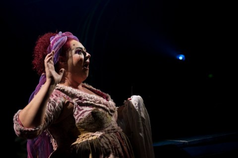 El Circo del Sol regresó con su Show Amaluna
