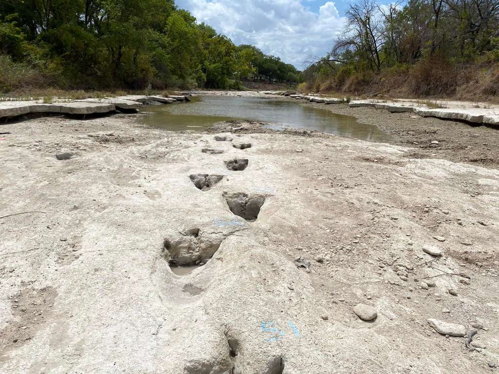 El Parque Estatal Dinosaur Valley alberga variedad de huellas de dinosaurios, en su mayoría saurópodos y terópodos, que están allí desde hace aproximadamente 113 millones de años.