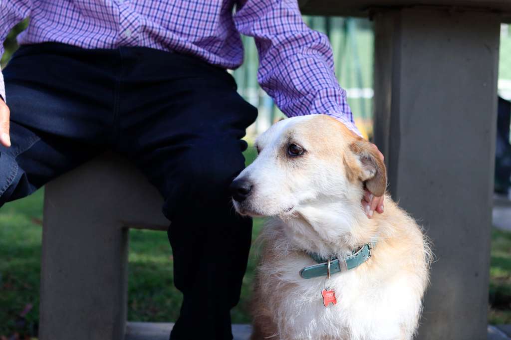 En compañía de su perro criollo, Tomy.