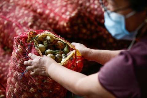Así está el precio de los alimentos tras el bloqueo en la vía Panamericana