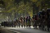 Nace el UAE Team Colombia, un nuevo equipo de ciclismo Sub 23