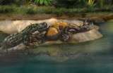 Desentrañan el misterio del animal que atacó a la temible ave del terror colombiana