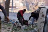Diálogos por la paz de Siria
