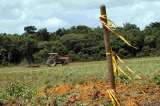 Corte Suprema limita anulación de compraventa de tierras surgidas de la violencia