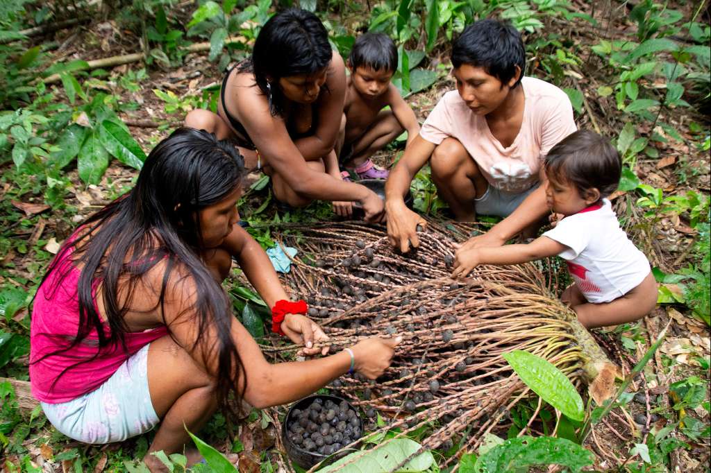 La lucha de una familia nukak por restaurar la Amazonia