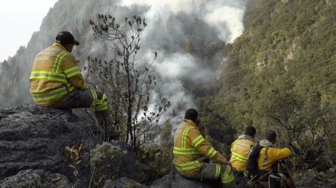Incendios en Bogotá: entre humo y ceniza los bomberos combaten las llamas
