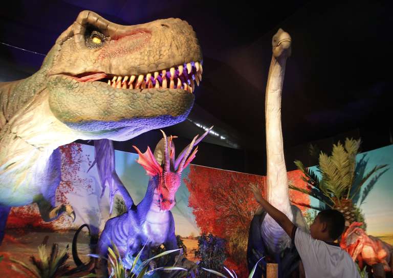 MED102. MEDELLÍN (COLOMBIA), 11/02/2023.- Niños asisten a la exhibición "Dinosaurios y Dragones fantásticos", el 10 de febrero de 2023, en Medellín (Colombia). "Dinosaurios y Dragones Fantásticos", considerado el tour animatrónico más grande de Latinoamérica, inició este sábado en Medellín un viaje prehistórico y mitológico con más de 30 figuras que simulan el aspecto y comportamiento estas criaturas. EFE/ Luis Eduardo Noriega A.
