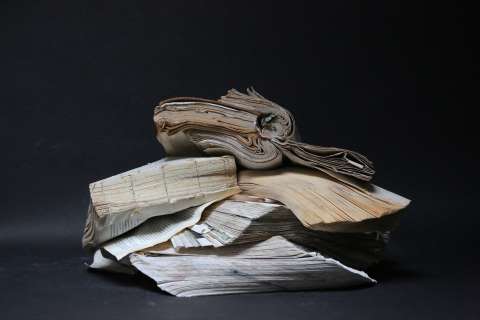 “Fósiles de papel”: los libros petrificados por la inundación de Venecia