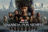 Actriz de ‘Pantera Negra’, gravemente herida tras ser atropellada. Esto se sabe