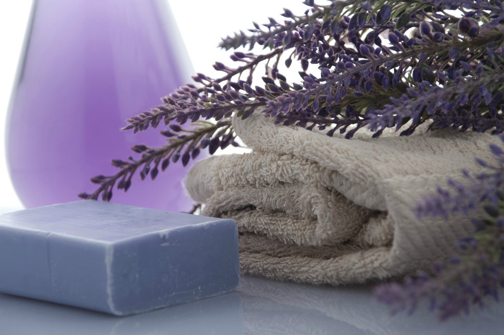 Investigadores sospechan que el aceite de lavanda en productos de aseo podría alterar patrones hormonales en niños varones. / Pixabay