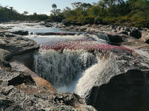 Los “brazos” de Caño Cristales y un gigante que emerge de la tierra