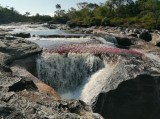 Ya puede volver a visitar Caño Cristales: lo acaban de abrir, tras una evaluación