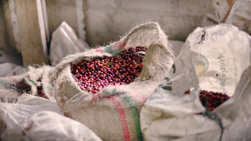 Café y cacao, de Colombia para el mundo: productores de la Sierra Nevada exponen sus productos en Alemania y España