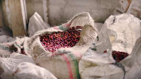Productores colombianos de café y cacao expusieron sus productos en Alemania y España
