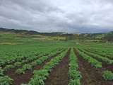 ¿Cuáles serán los objetivos para el desarrollo del agro en los próximos cuatro años?