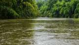 Joven se ahogó al salvar una niña en un plan familiar en el río La Vieja, Quindío