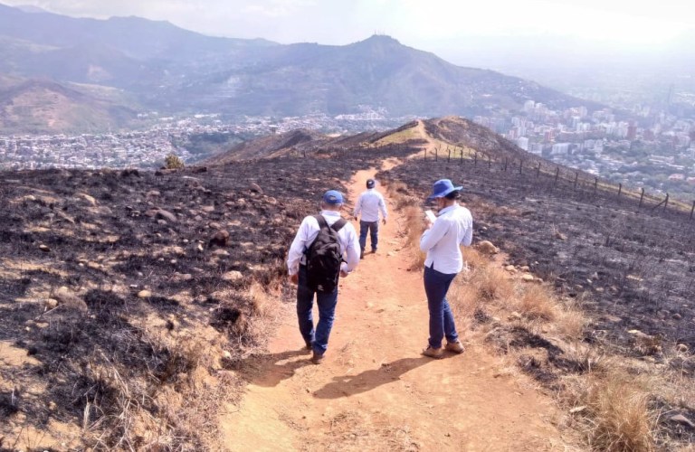 Autoridades ambientales recomiendan reforestar Cristo Rey en temporada de lluvias