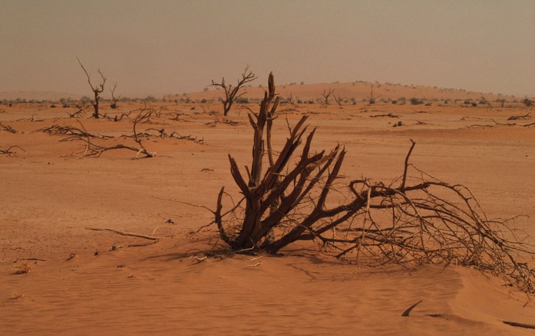 Un evento climático extremo casi acaba con nuestros antepasados, ¿qué pasó?
