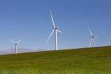 Claves de una economía verde