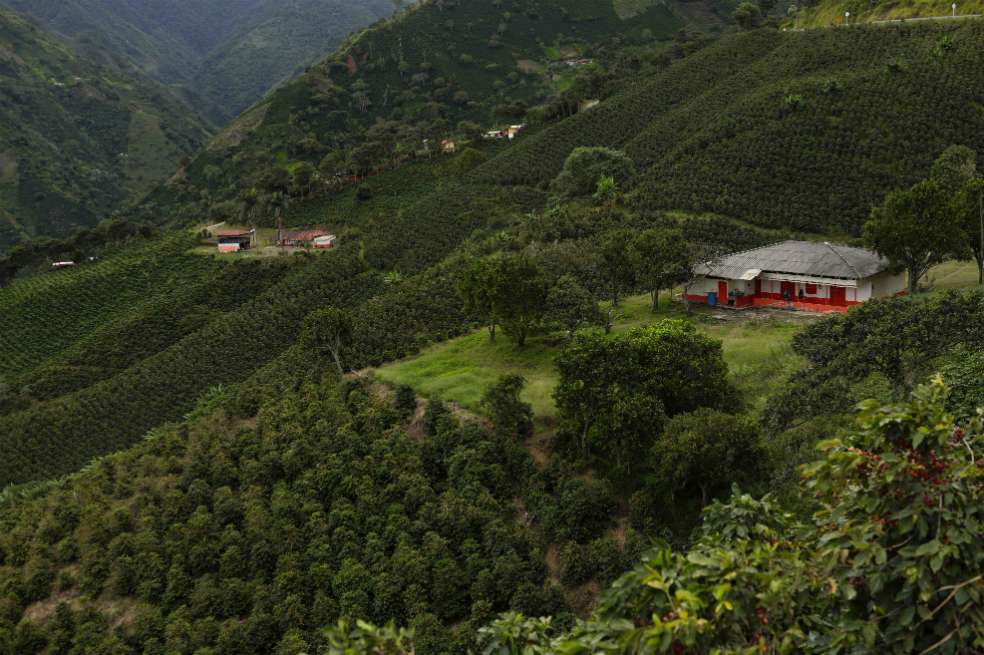 Este año, el Gobierno invertirá $60.000 millones en el agro. / AFP