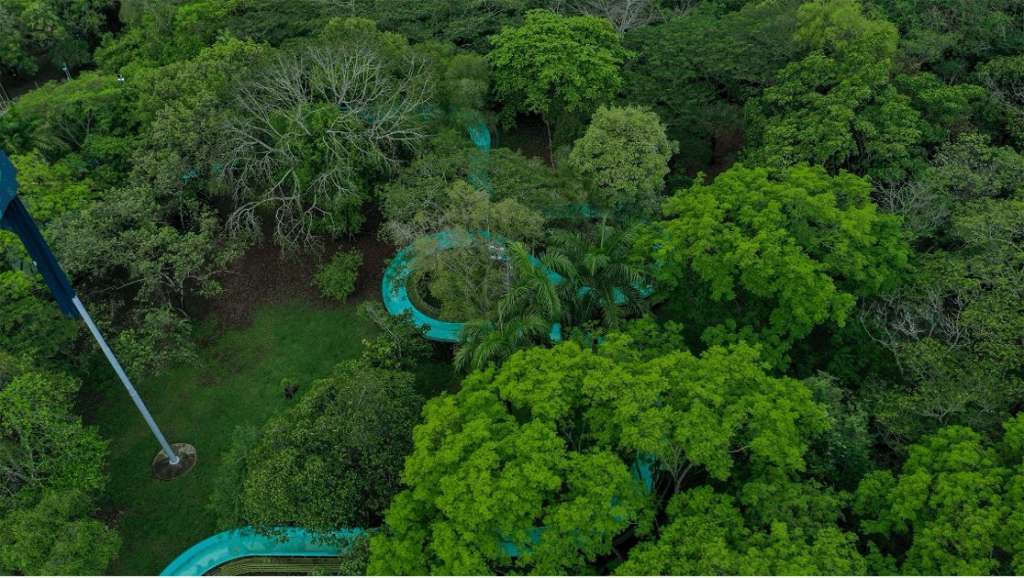 Bosque seco tropical.
