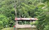Escuelas en ruinas y rodeadas de coca, así estudian en la cordillera de Nariño