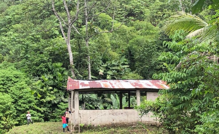 Escuelas en ruinas y rodeadas de coca, así estudian en la cordillera de Nariño