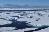 Un oasis de agua líquida preservó la vida marina durante la última Edad del Hielo