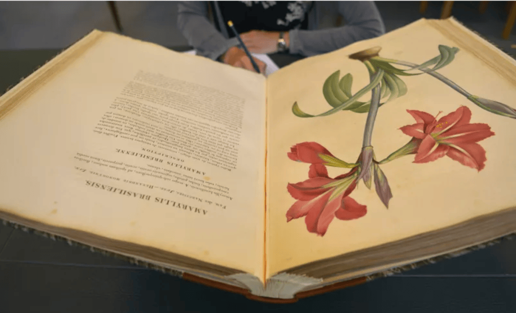 El Jardín de las Plantas no es solo un lugar de visita obligada para los amantes de la naturaleza, sino una experiencia enriquecedora para cualquier visitante de París.