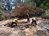 Liquidado el incendio forestal presentado en el Parque Isla de Salamanca