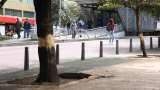 En grave riesgo se encuentran los cuatro árboles vandalizados en el Eje Ambiental de Bogotá