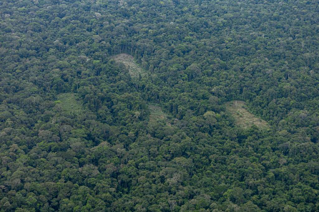 Sobrevuelo del Amazonas