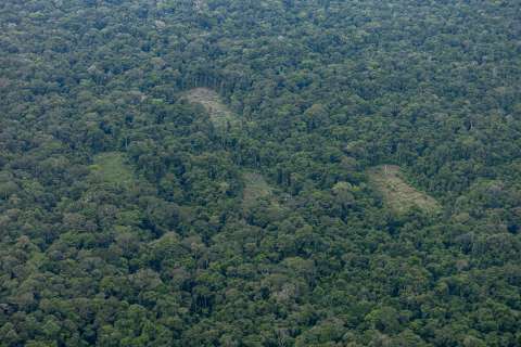¿Cómo le fue a la Amazonia colombiana en el último informe de deforestación?