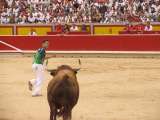 Matan a un toro que escapó de la plaza, mató a un caballo y dejó cuatro personas heridas