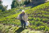 Las nuevas ADEL que se suman a mejorar el desarrollo económico de las subregiones colombianas