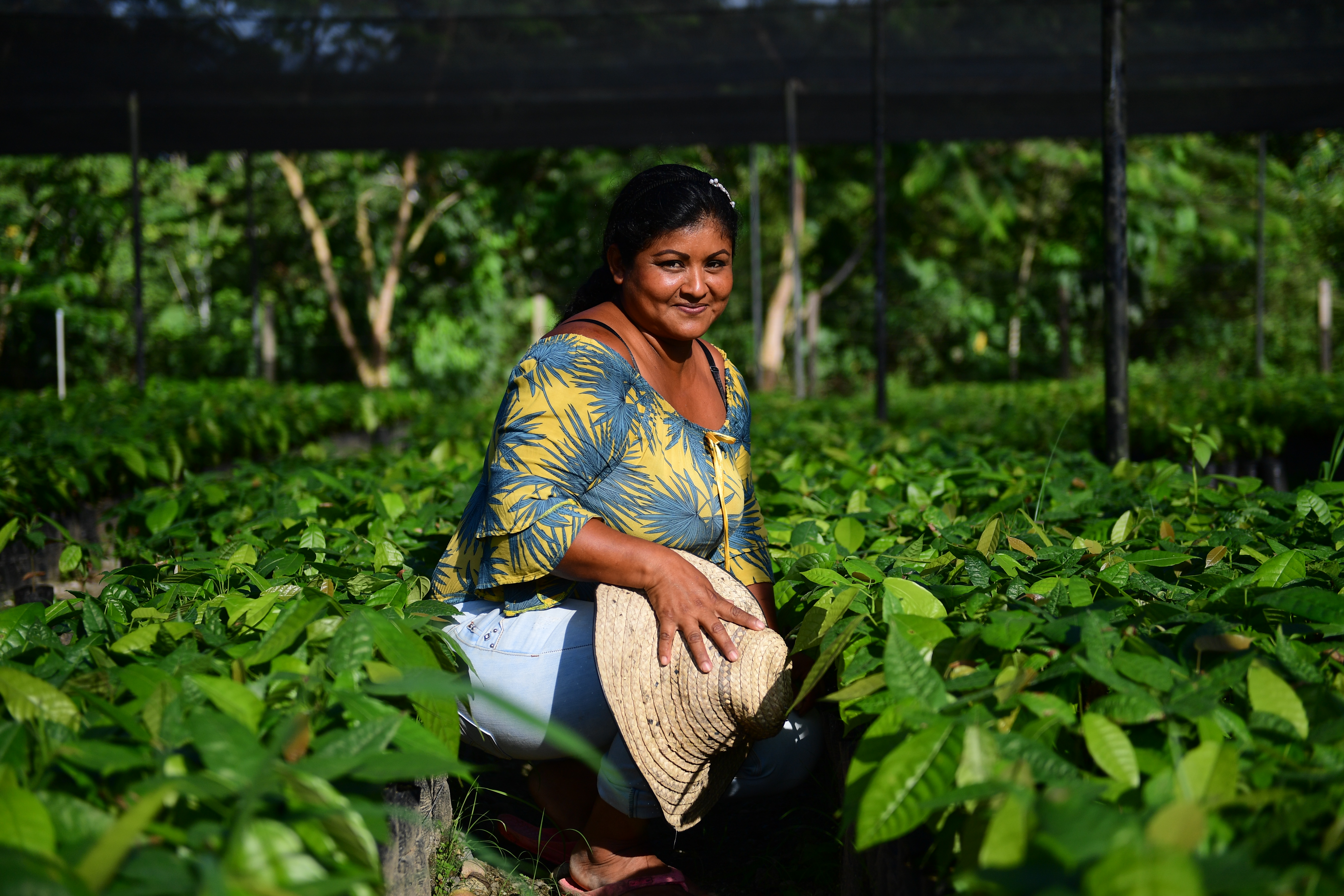 Doña Gloria Irene es indígena nasa y se encarga de cuidar las plántulas de cacao en el vivero La Carmelita. / Gustavo Torrijos