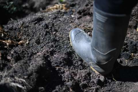 El reto de que los jóvenes quieran quedarse en el campo: así funcionará Jóvenes Milagro