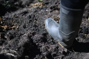El reto de que los jóvenes quieran quedarse en el campo: así funcionará Jóvenes Milagro
