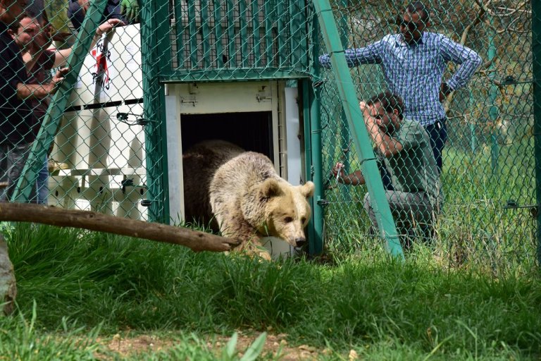 Papá Noel llegó con sorpresas a zoológico La Aurora, de Guatemala