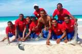 Matan a un tiburón en Punta Cana para tomarse una foto